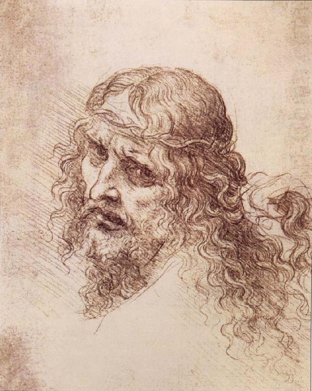 Head and shoulders Christs, LEONARDO da Vinci